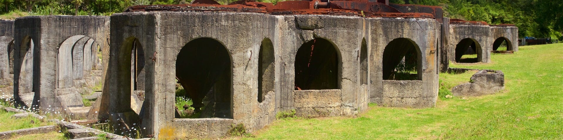 A series of rusted, arched structures in a grassy field with a forested hill in the background.