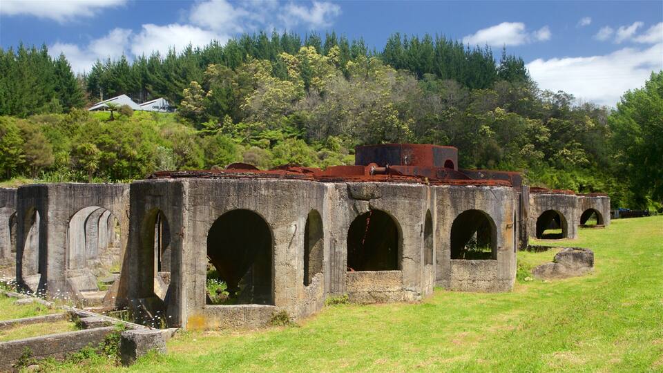 A series of rusted, arched structures in a grassy field with a forested hill in the background.