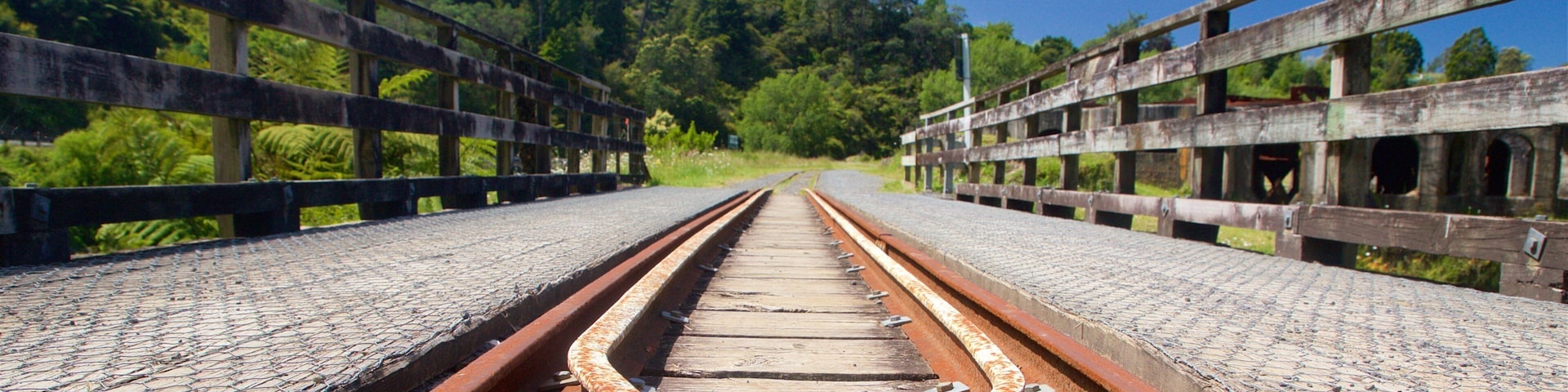 Hauraki Rail Trail - Day Rides which includes railway items and a bridge