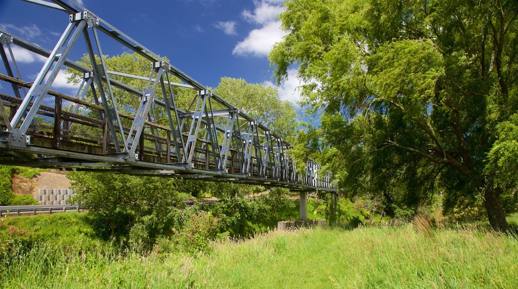 Hauraki Rail Trail - Day Rides showing tranquil scenes and a bridge