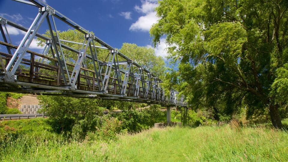 A metal bridge with a metal fence, surrounded by trees and grass.