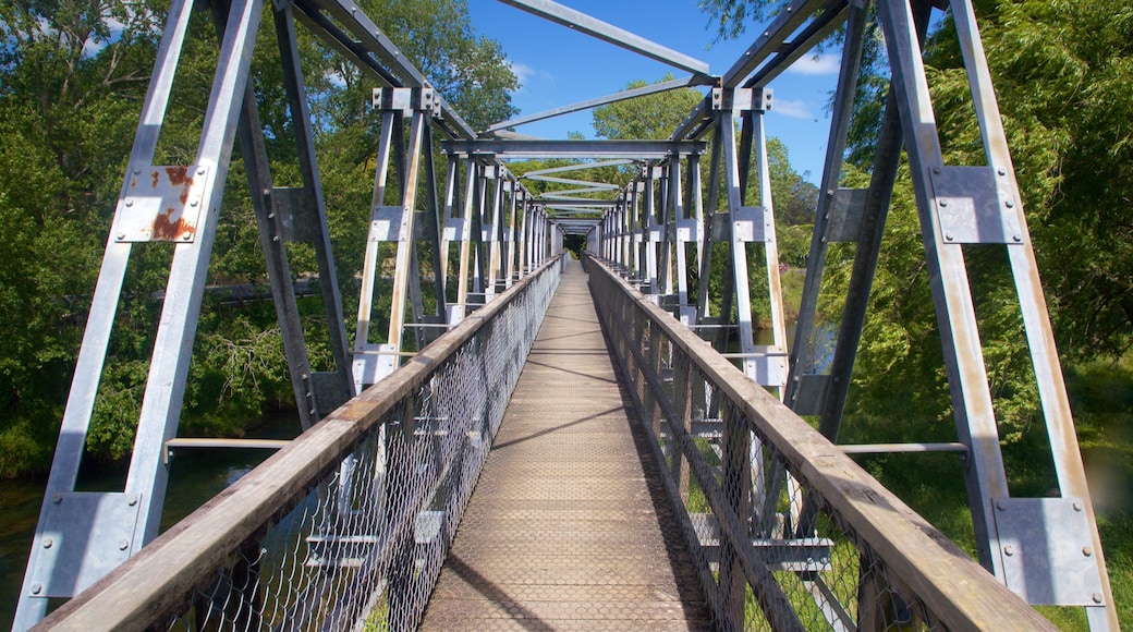 Hauraki Rail Trail - Day Rides which includes a bridge