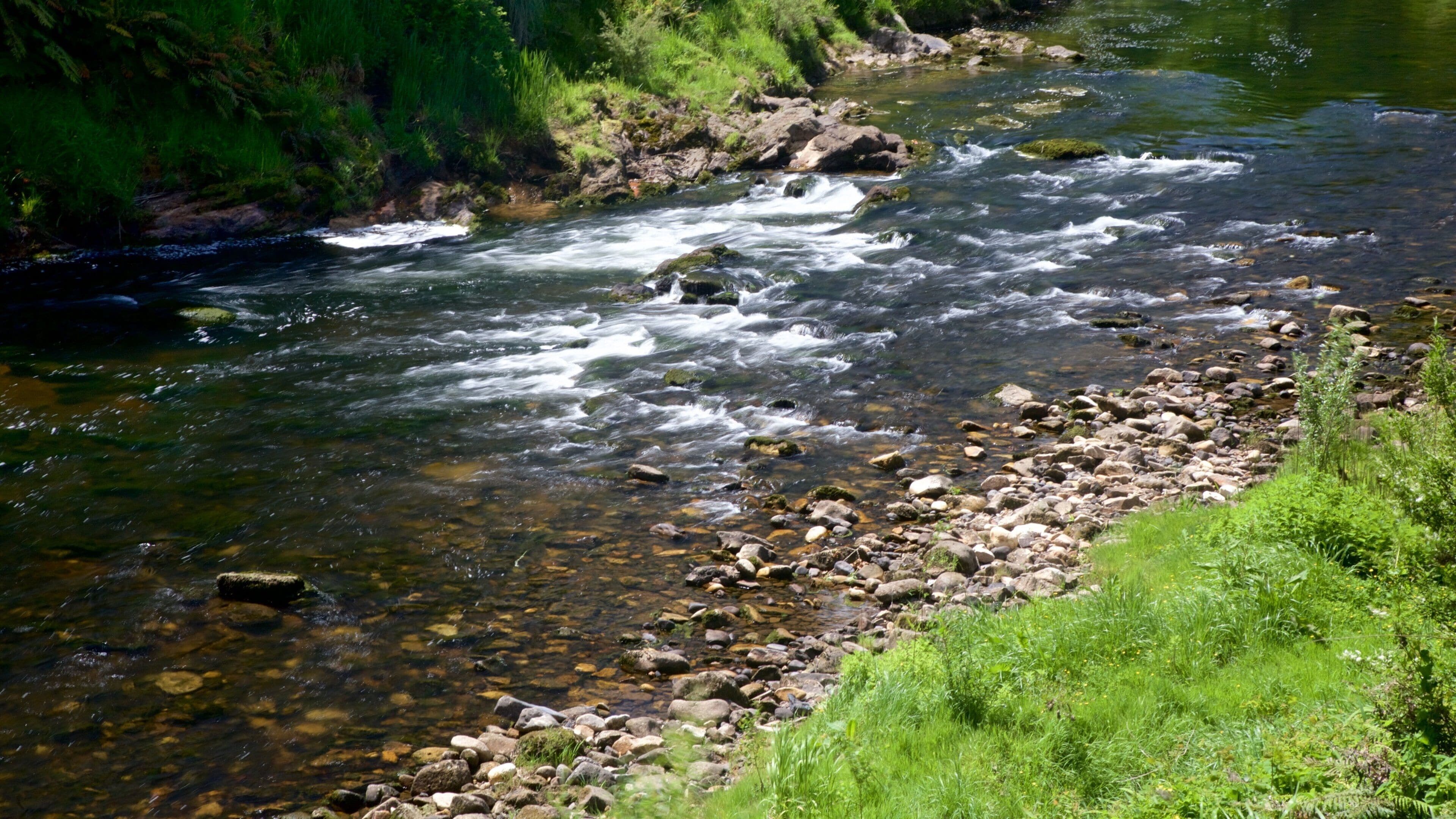 Hauraki Rail Trail - Day Rides showing a river or creek