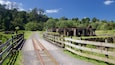 Hauraki Rail Trail - Day Rides 其中包括 橋樑, 傳統元素 和 鐵路收藏品