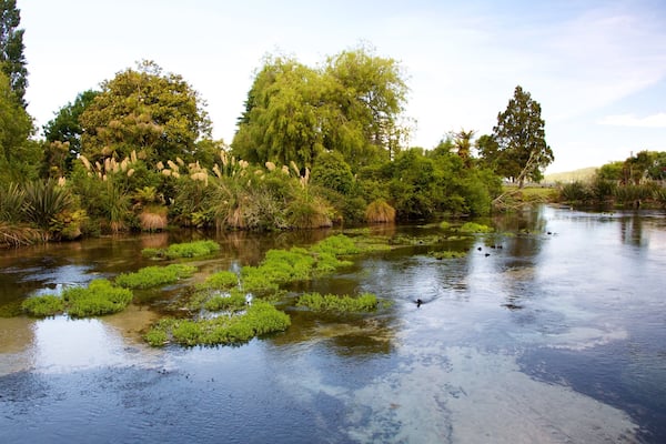 Hamurana which includes a park, a hot spring and a lake or waterhole