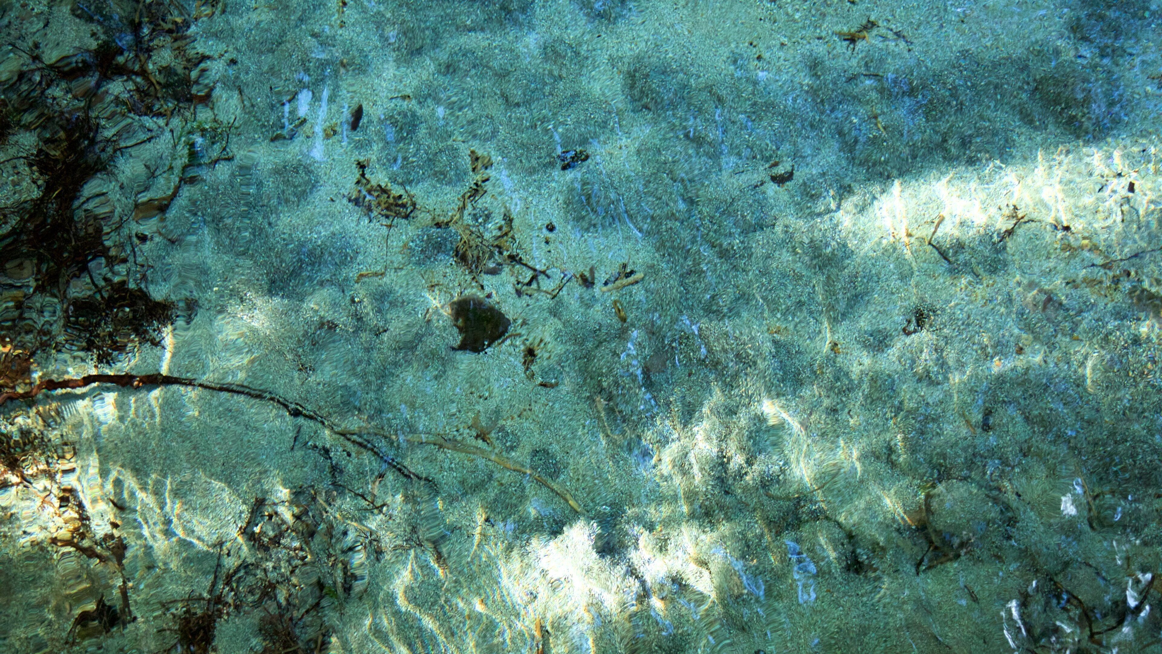 Hamurana featuring a river or creek