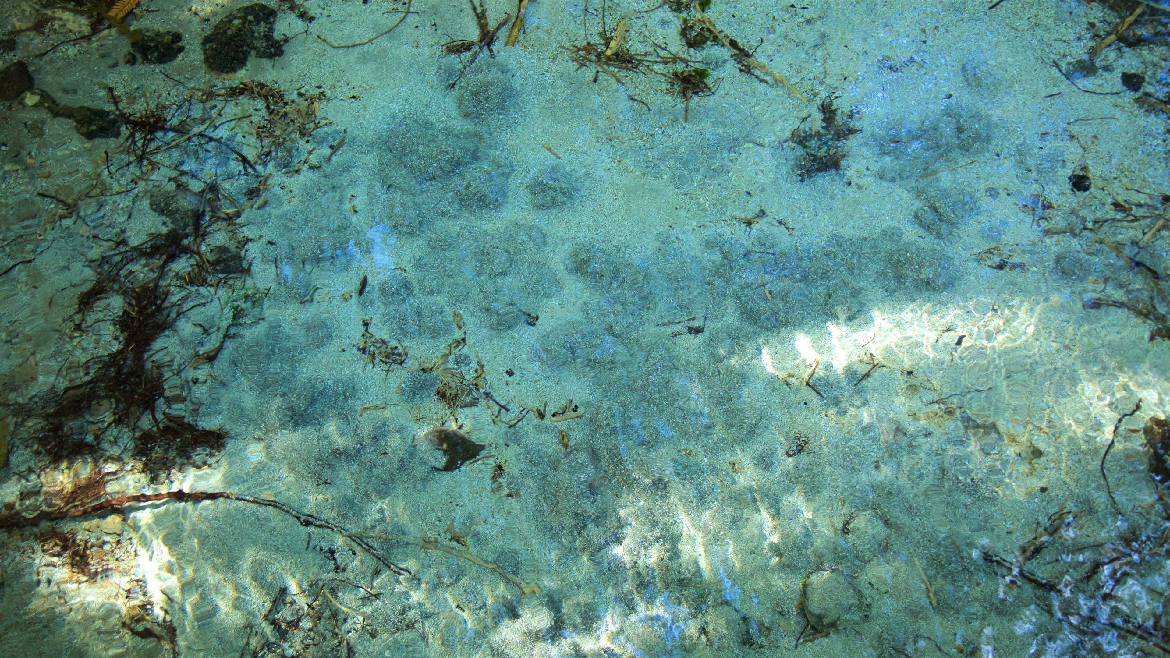 Hamurana fasiliteter samt innsjø og het kilde