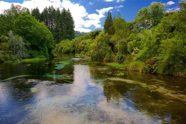Hamurana Springs qui includes parc et riviĂšre ou ruisseau