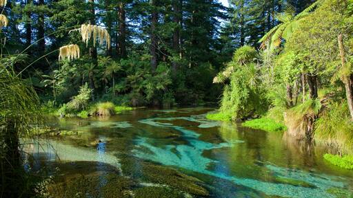 Hamurana which includes a river or creek and forest scenes