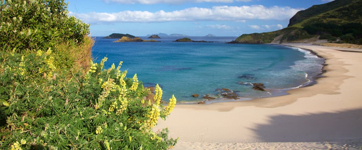 Whangarei inclusief een baai of haven, een zandstrand en bergen