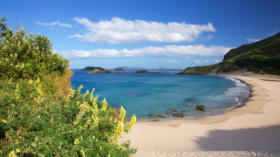 A beach with clear turquoise waters, sandy shore, and green hills in the background.