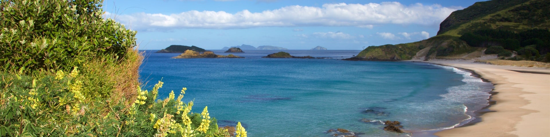 Whangarei featuring a sandy beach, mountains and a bay or harbour