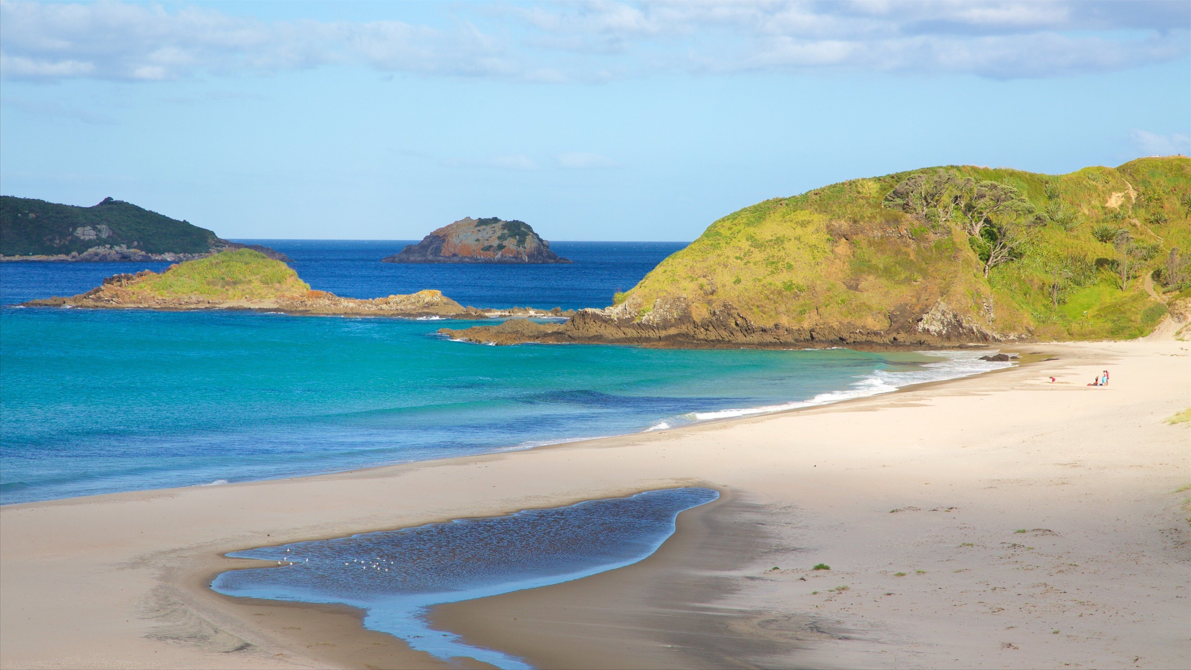 Ocean Beach which includes a beach, a bay or harbor and island images
