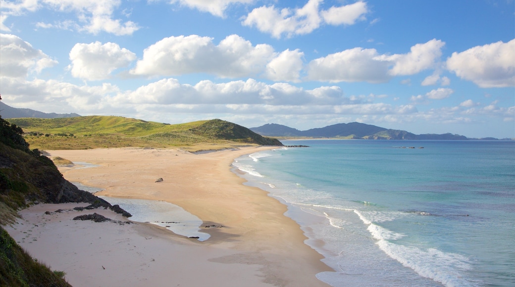 Ocean Beach featuring landscape views, a beach and general coastal views