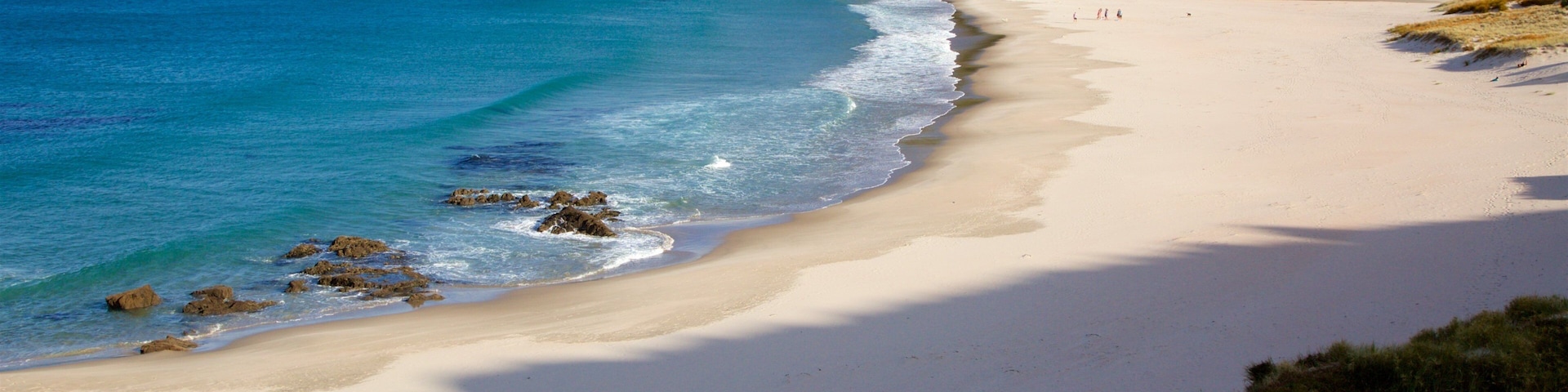 Ocean Beach mit einem Strand, Bucht oder Hafen und Felsküste