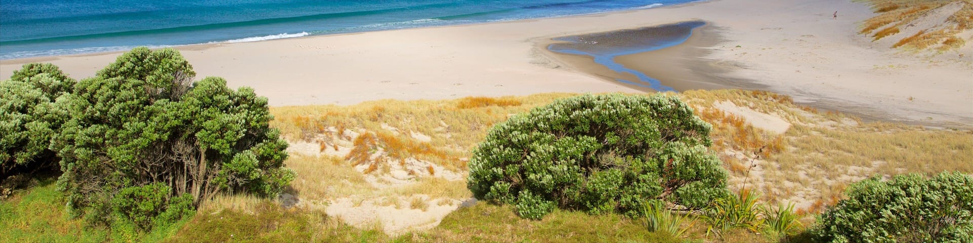 Ocean Beach featuring a bay or harbor, a beach and island images