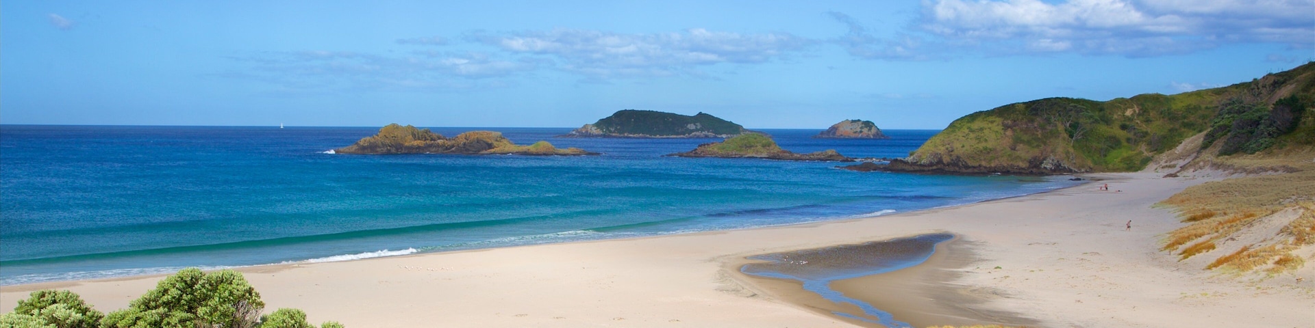 Ocean Beach featuring island images, a sandy beach and a bay or harbour