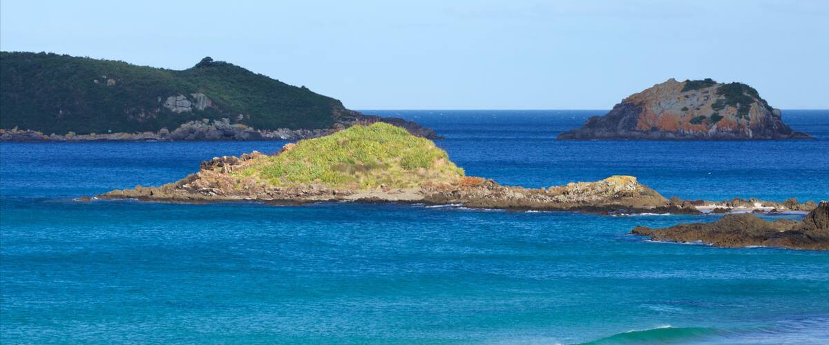 Ocean Beach featuring a bay or harbor, a sandy beach and island views