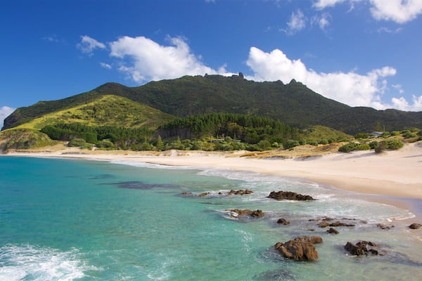 A beach with clear turquoise waters, rocky shoreline, and a mountain in the background.