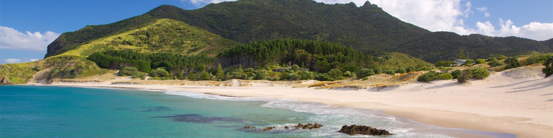 Ocean Beach ofreciendo una playa, una bahía o un puerto y montañas