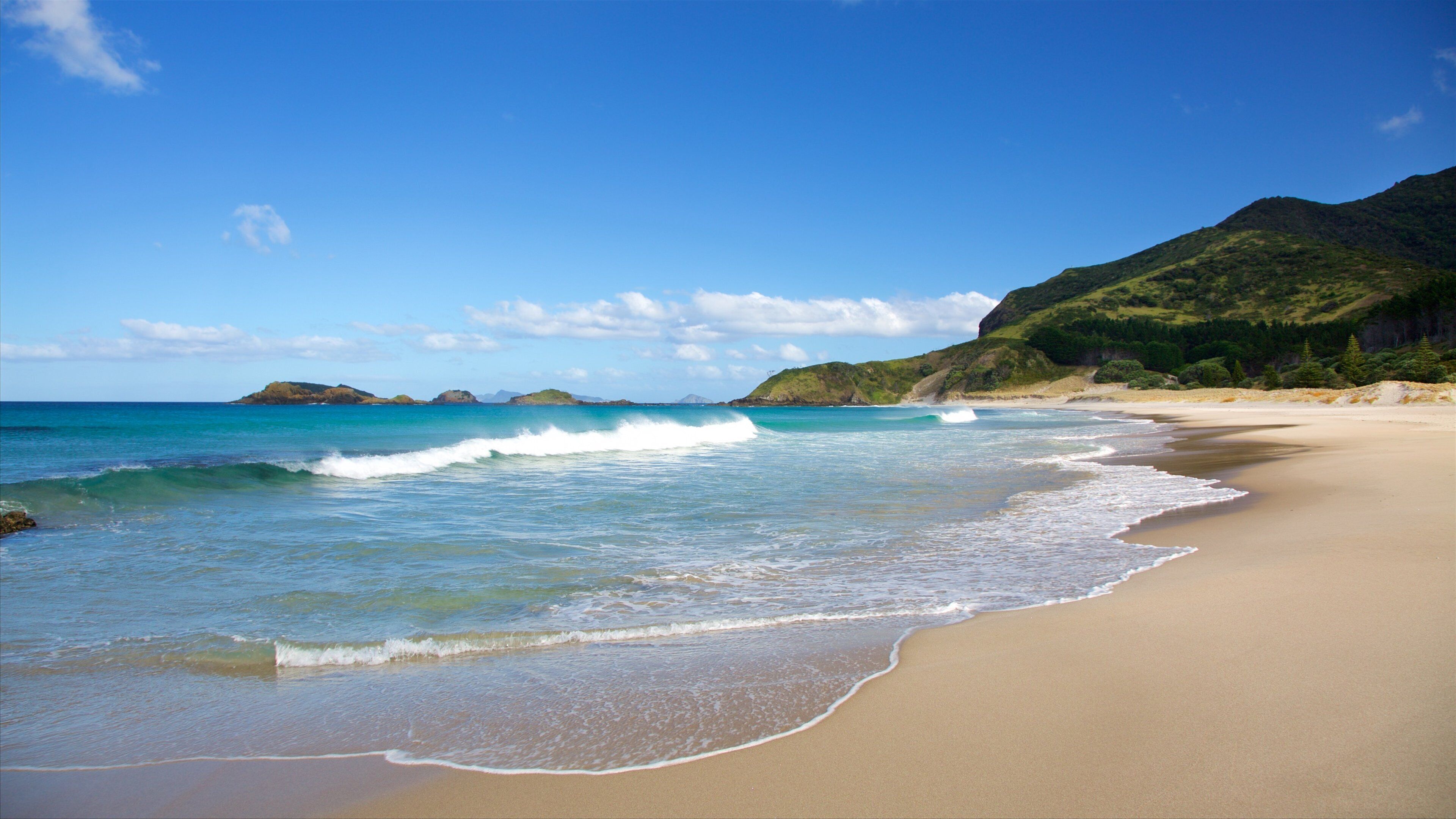 Ocean Beach which includes a sandy beach and general coastal views