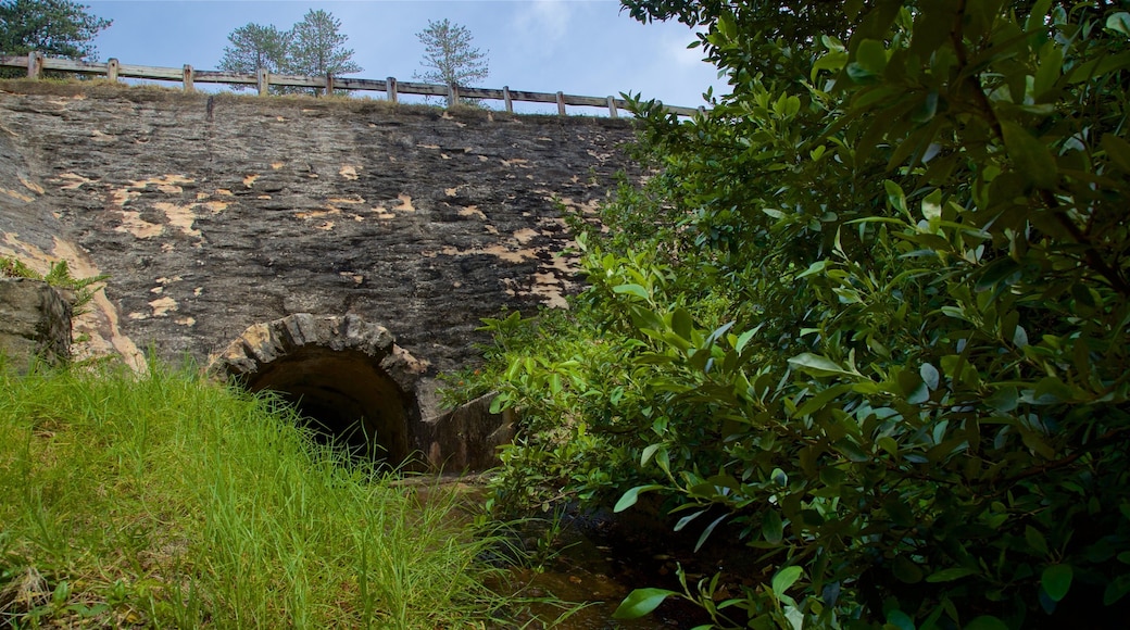 Bloody Bridge showing tranquil scenes and heritage elements