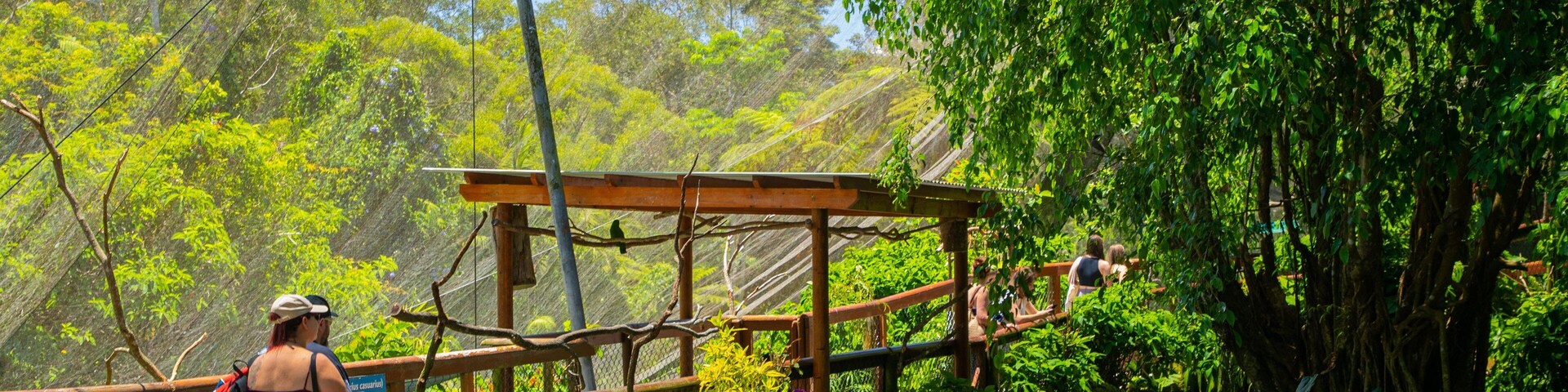 Birdworld Kuranda
