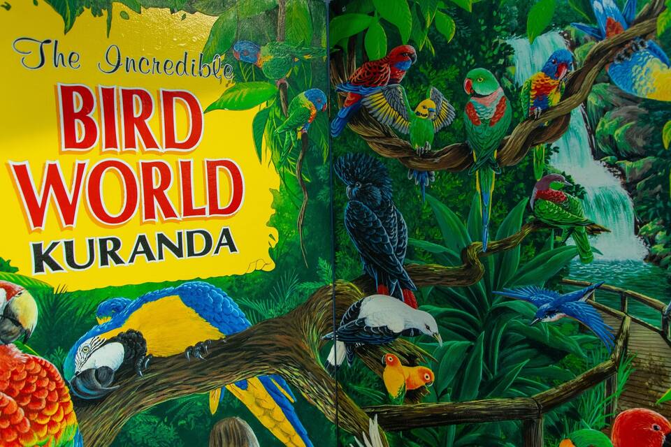 Une couverture de livre aux couleurs vives, intitulée « Le monde incroyable des oiseaux de Kuranda », représentant divers oiseaux aux couleurs éclatantes et une végétation luxuriante.
