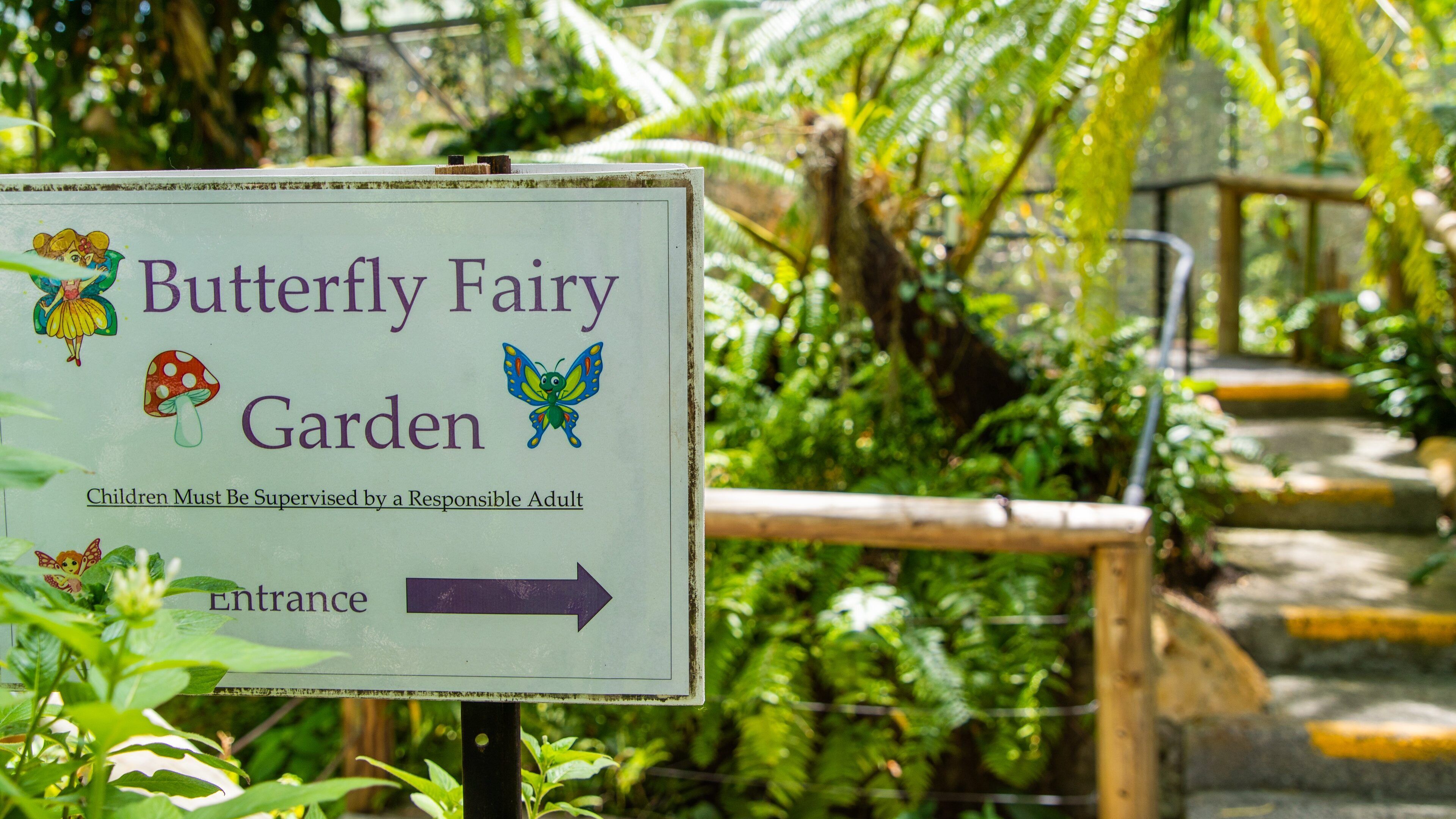 Australian Butterfly Sanctuary which includes signage and a garden