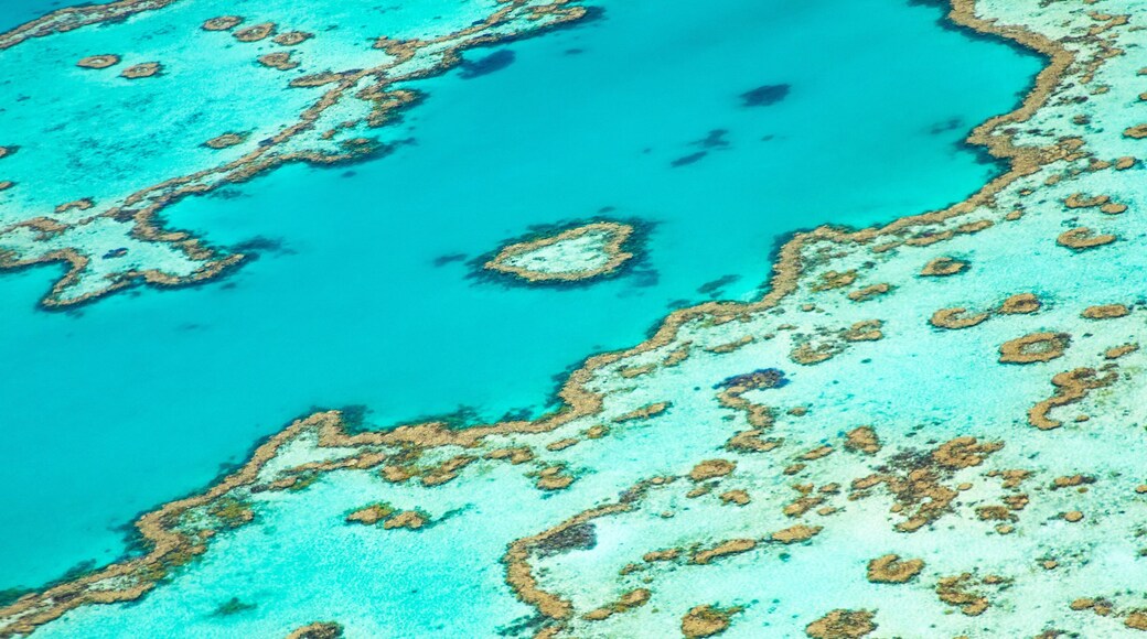 Heart Reef which includes general coastal views and colorful reefs