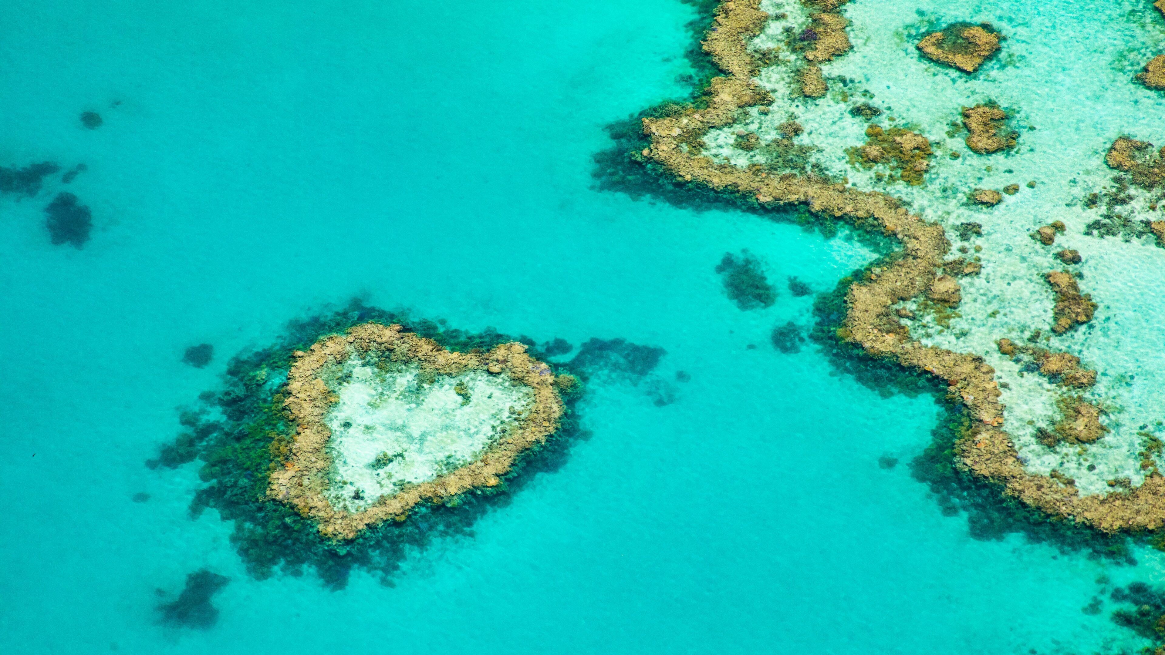 Heart Reef showing general coastal views and colorful reefs