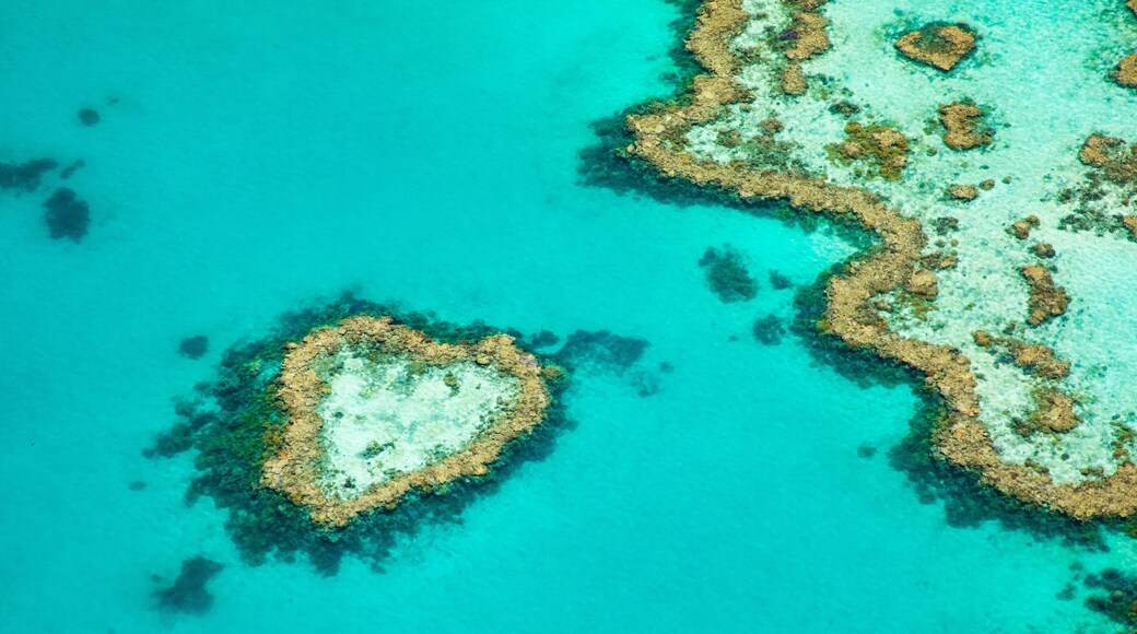 Heart Reef showing general coastal views and colorful reefs