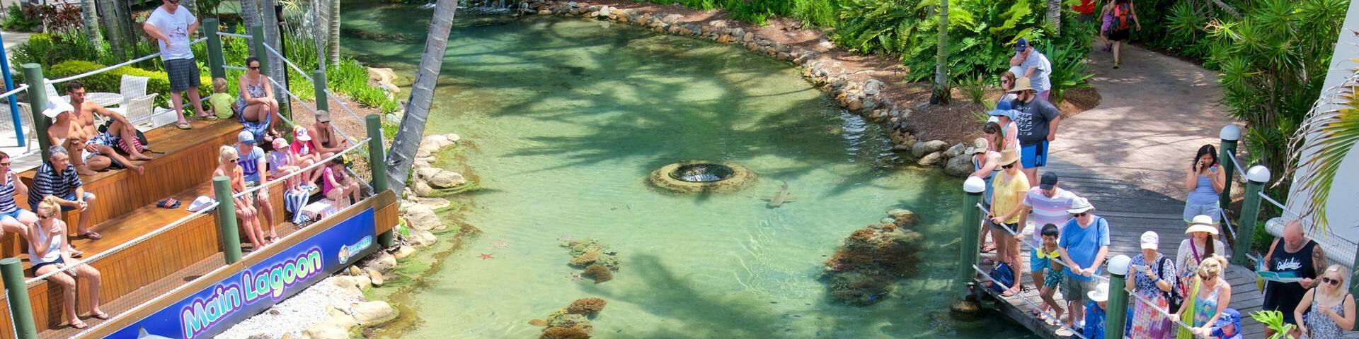 Ile Daydream mettant en vedette vie marine et animaux de zoo aussi bien que petit groupe de personnes