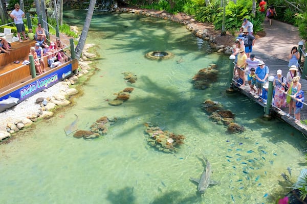 Daydream Island showing marine life and zoo animals as well as a small group of people