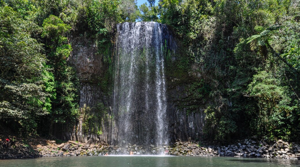 Millaa Millaa Falls in Atherton Tablelands, Australia