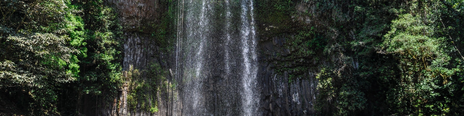 Millaa Millaa Falls in Atherton Tablelands, Australia