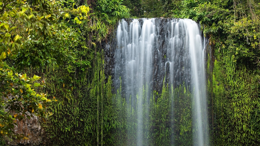 Ein Wasserfall, umgeben von üppigem Grün.