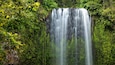 Une cascade entourée d’une végétation luxuriante.