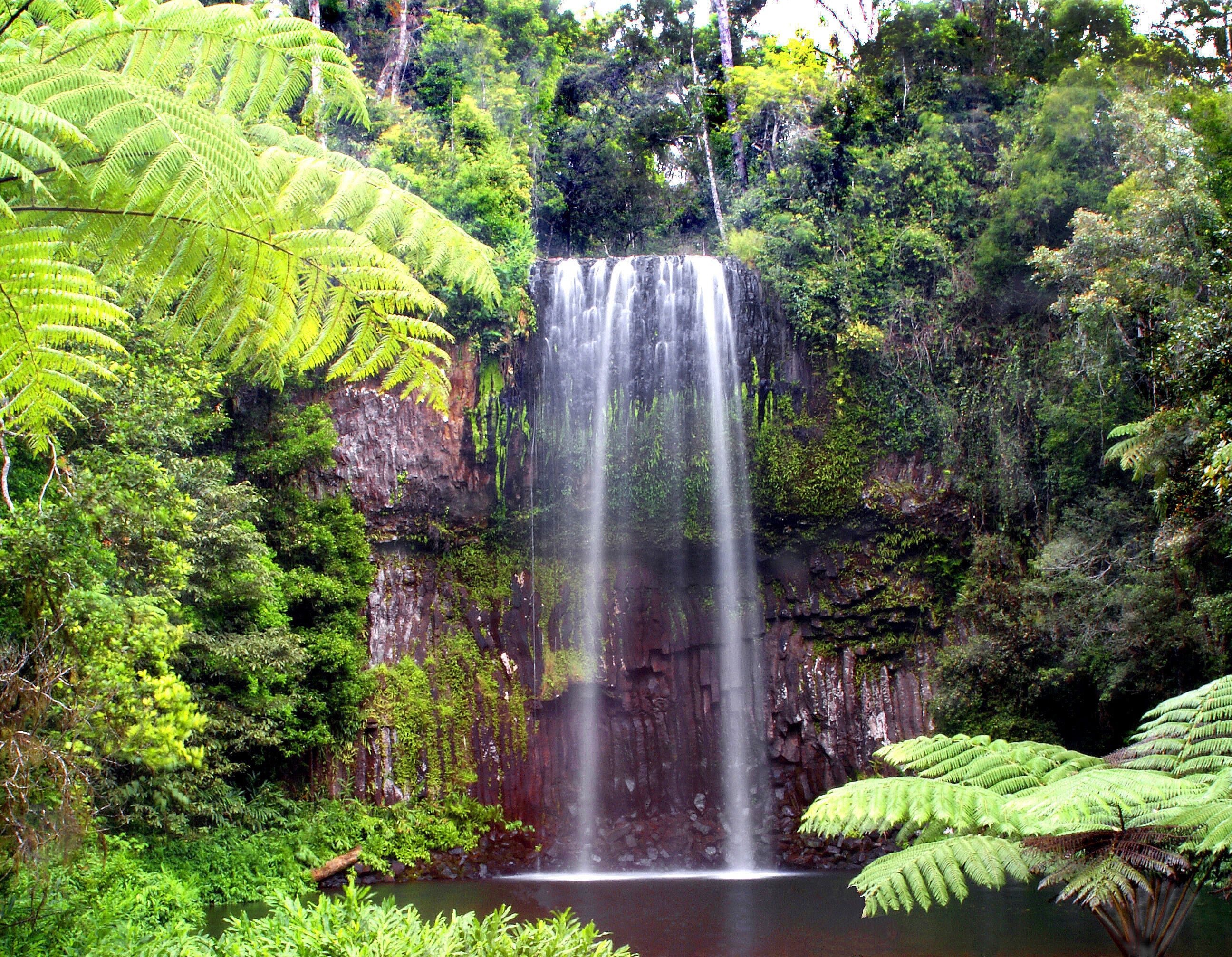 Millaa Millaa Falls, Queensland, Australia
