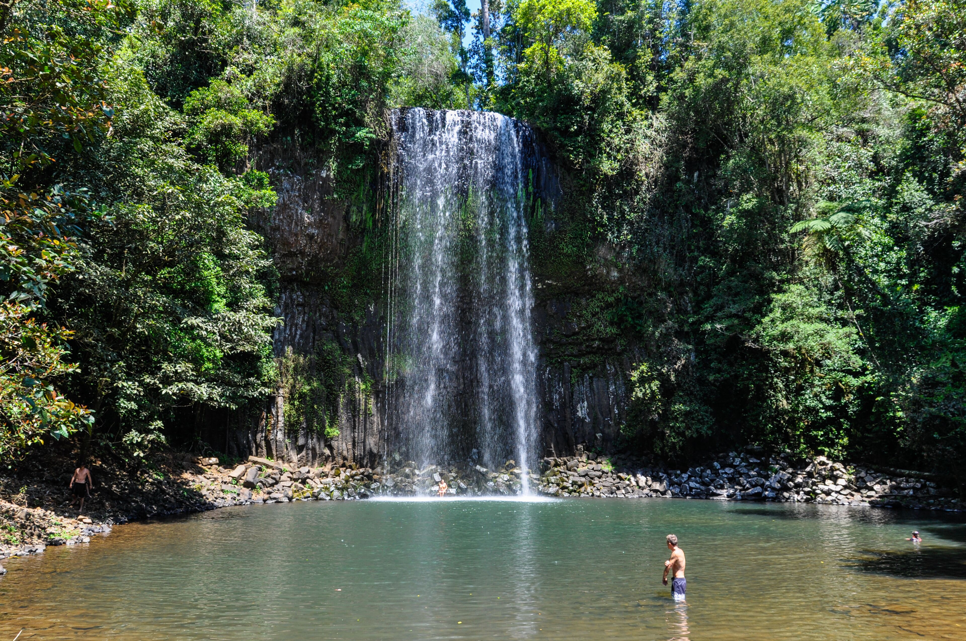 Millaa Millaa Falls in Atherton Tablelands, Australia