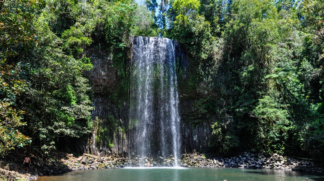 Millaa Millaa Falls in Atherton Tablelands, Australia