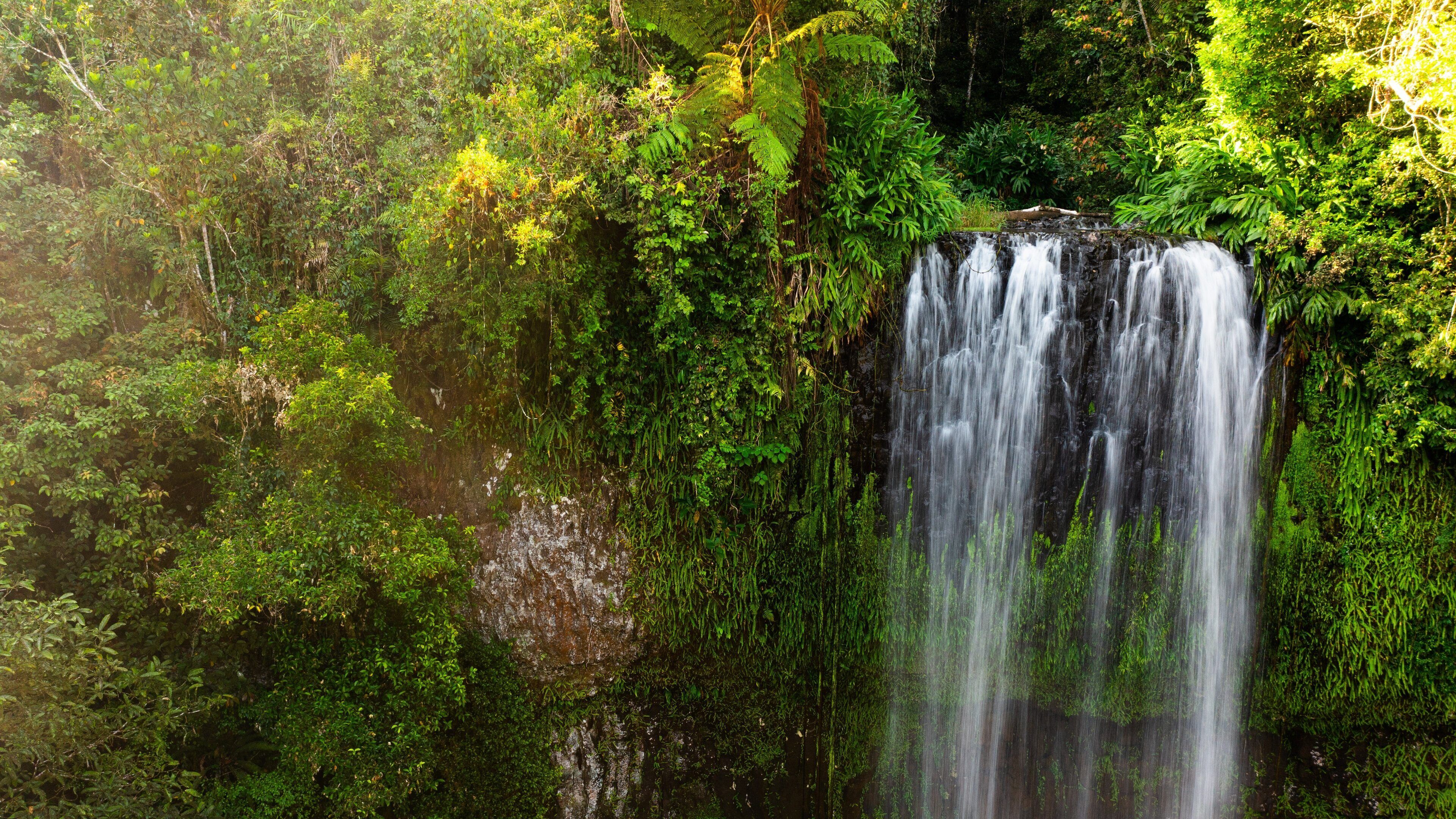 Millaa Millaa Falls showing a waterfall