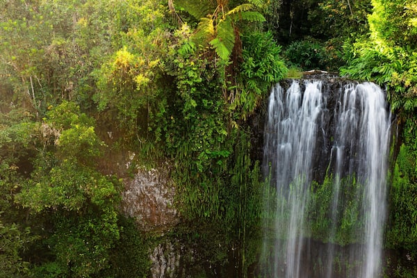 Une cascade entourée d’une végétation luxuriante.