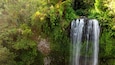 Une cascade entourée d’une végétation luxuriante.