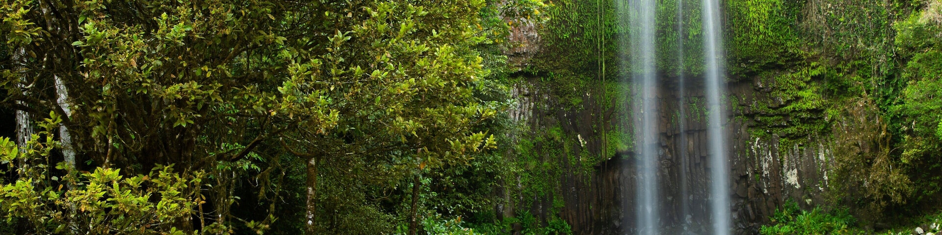 Millaa Millaa Falls which includes a lake or waterhole and a waterfall as well as a couple