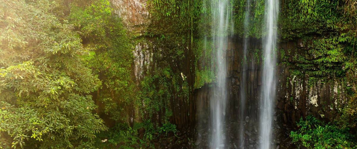 Millaa Millaa Falls which includes a waterfall