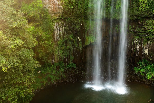 Millaa Millaa Falls which includes a waterfall
