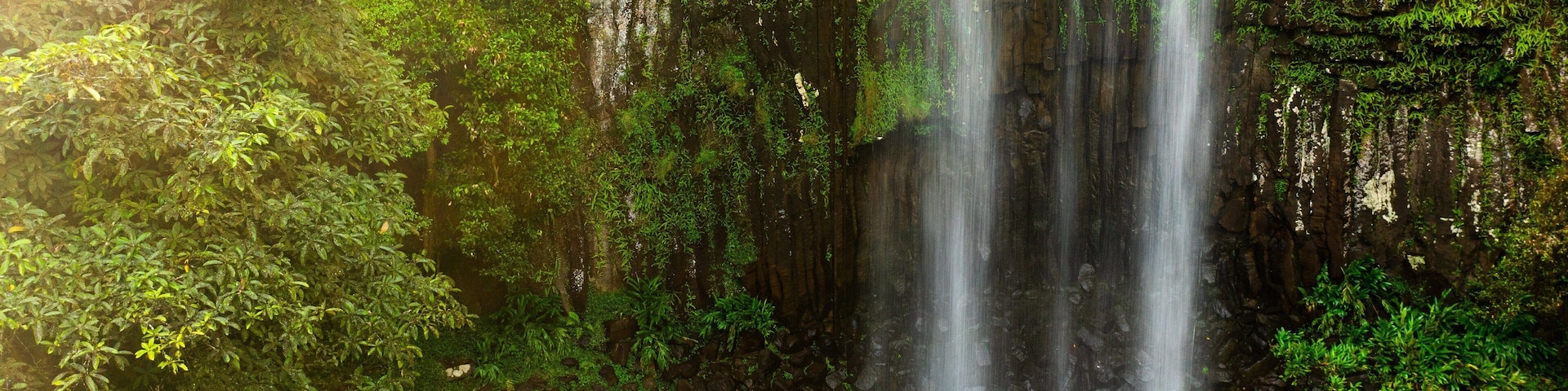 Millaa Millaa Falls which includes a waterfall