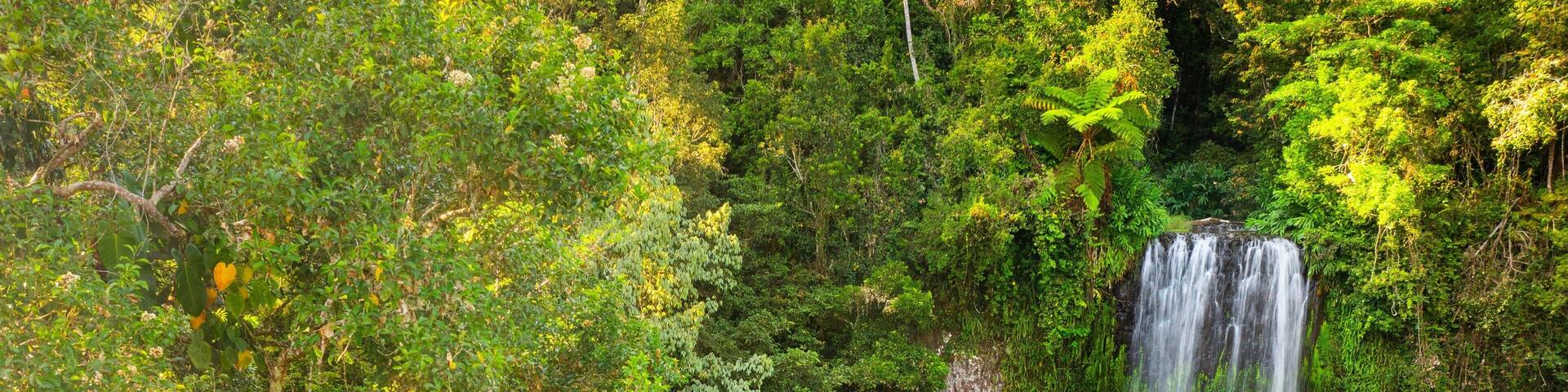 Millaa Millaa Falls featuring a waterfall