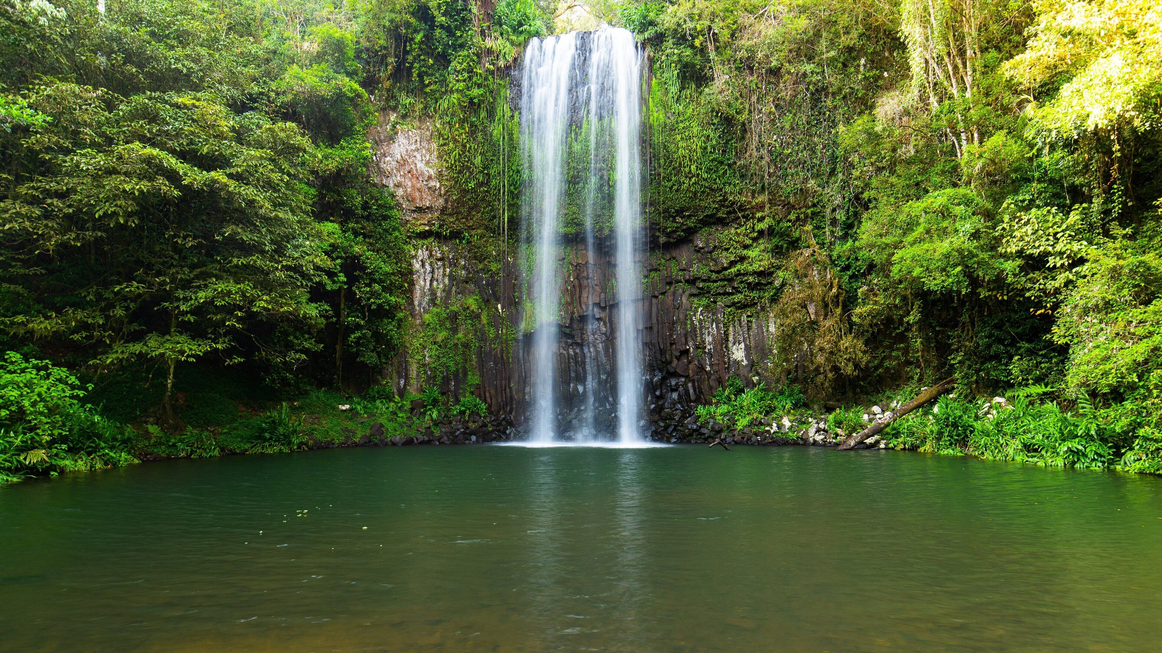Millaa Millaa Falls which includes a cascade and a lake or waterhole